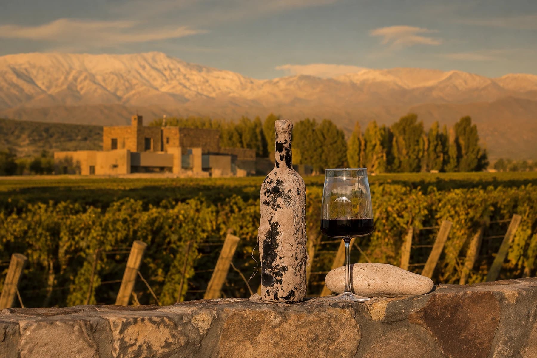 Copa RCR frente a los viñedos y la cordillera de Mendoza